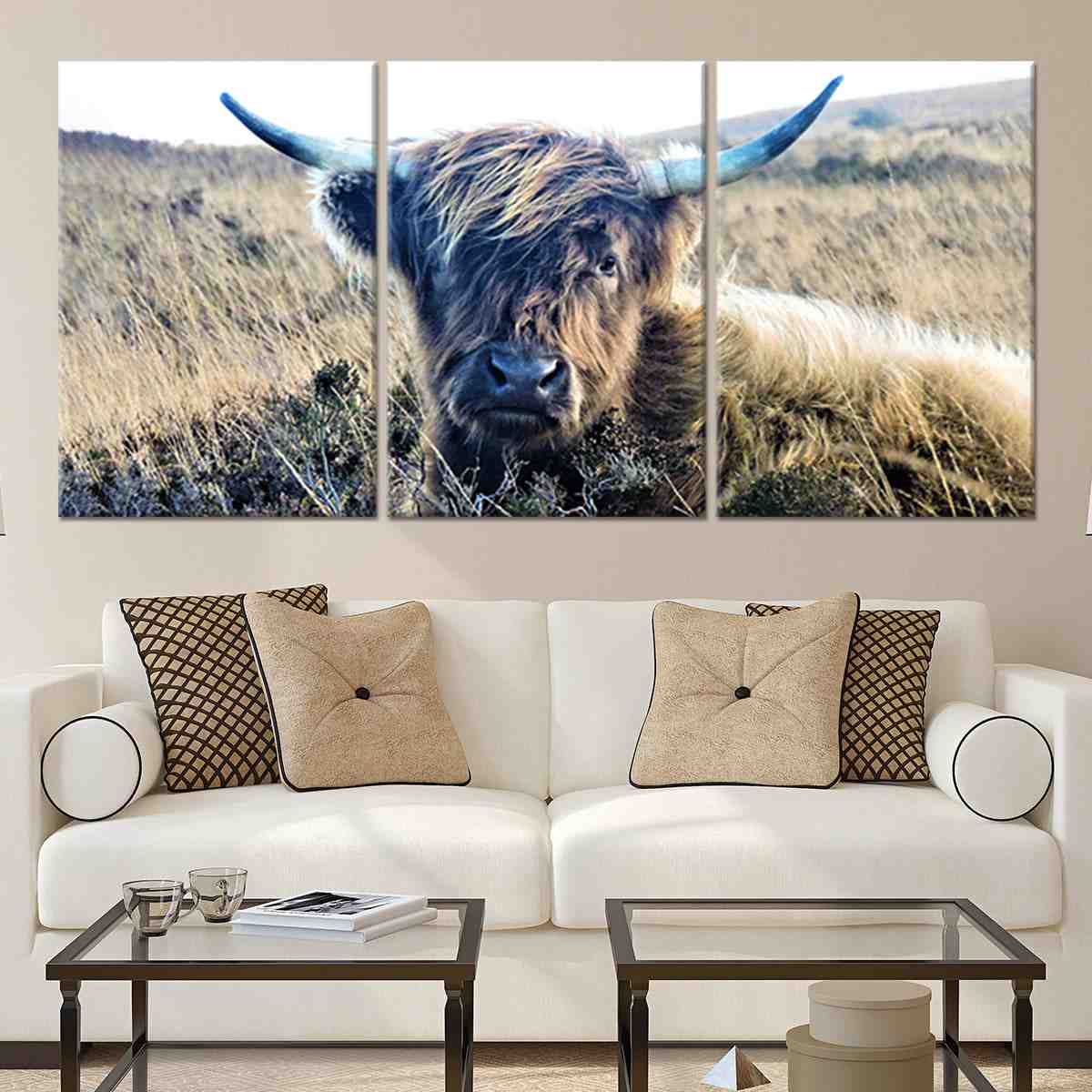 collection-banner-image